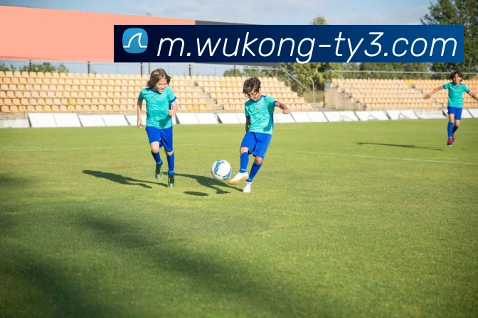 电竞直播专区